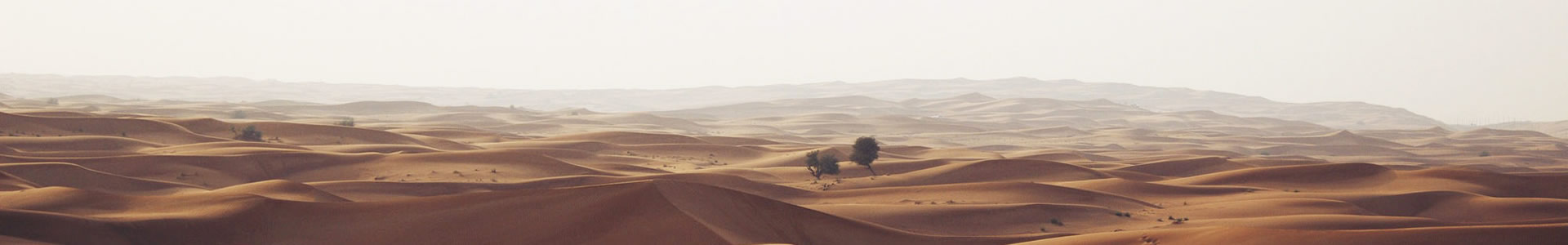 ڴƼ޹˾
